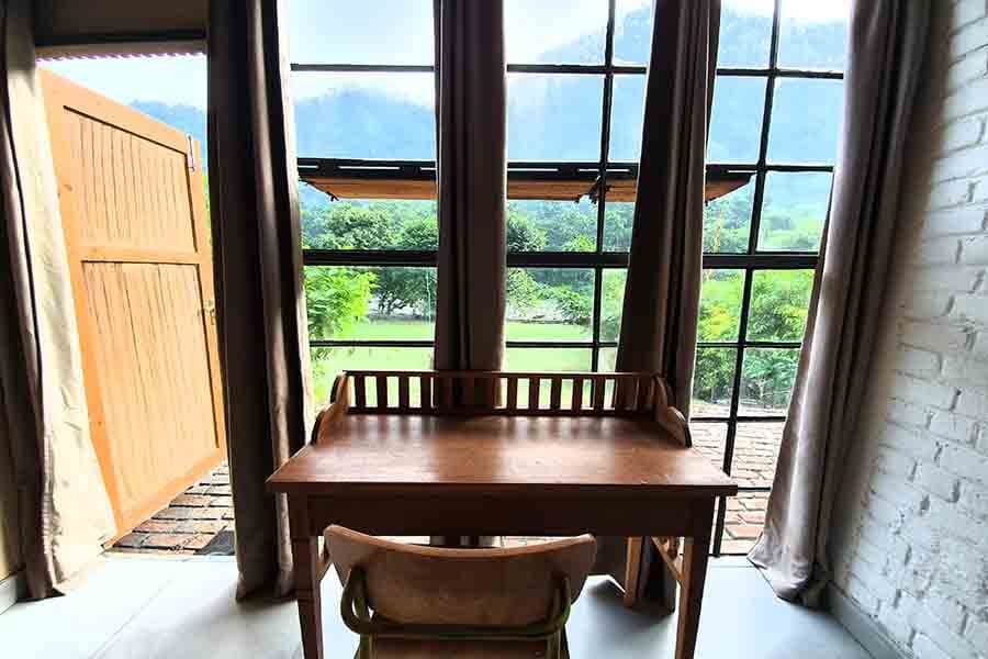 Tropical Family Suite